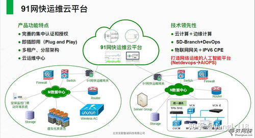 91网为客户提供的全方位技术服务内容
